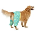 thumbnail image 2 of HDE Dog Swim Trunks Hawaiian Board Shorts for XS to XXL Dogs Teal Rubber Ducks XXL, 2 of 5