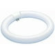 0601000 22W&44; Ampoule Fluorescente Ring-O-Lite - Blanc Froid – image 1 sur 1