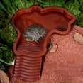 thumbnail image 3 of HLONK [Reptile Pool with Ramp] Reptile Pool with Ramp | Turtle Water Bowl  Feeding Dish for Lizards  Snakes  Bearded Dragons - Aquatic Habitat Decor, 3 of 5
