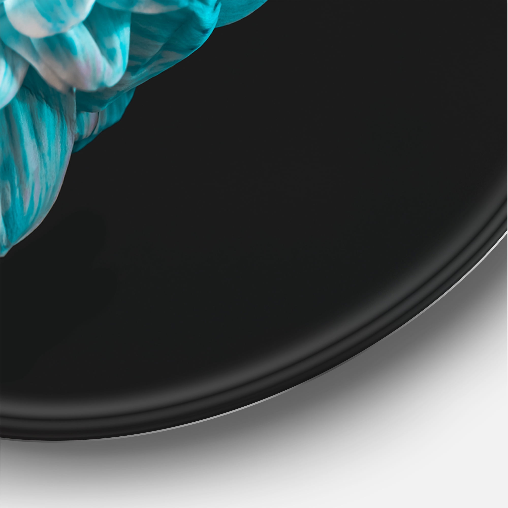 Designart 'Close Up Of Flower With White and Blue Petals' Traditional Circle Metal Wall Art 11x11 - Disc of 11