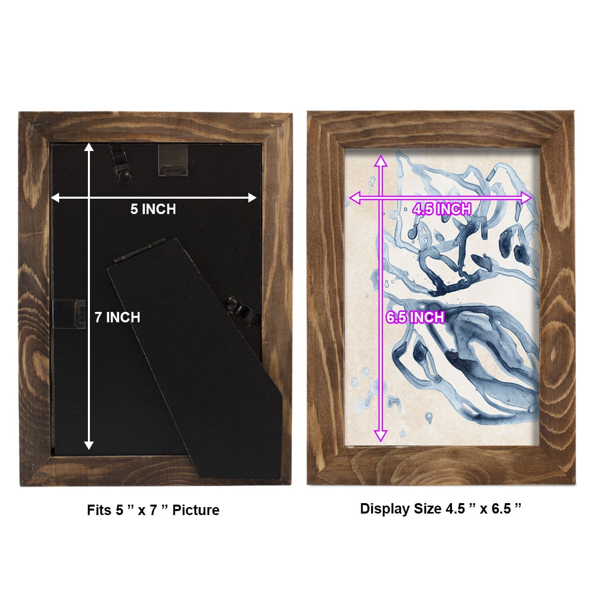Water Shells II - Framed Print w/glass - Walnut