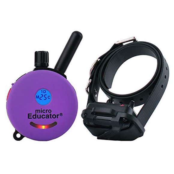 Educator Collier Électronique Collier d'Entraînement pour Chien Sans Danger avec Télécommande, Offre 100 Niveaux de Stimulation Sécuritaire, Sensation de Tapotement, Veilleuse, Imperméable, Rechargeable, 1/3 Mile 1 Petit Chien, Violet
