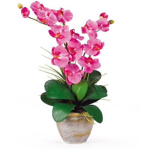 Nearly Natural Double Phalaenopsis Artificial Orchid Flower Arrangement ...