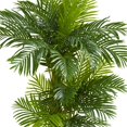 thumbnail image 2 of Nearly Natural 5590 6 ft. Hawaii Artificial Palm, 2 of 4