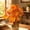 B, variant on Artificial Pink Fall Pumpkin Floral Pick, Pastel Maple Leaf Berry Flower Bouquet Stem, Harvest Thanksgiving Faux Greenery for Vase Table Farmhouse Decor