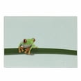 thumbnail image 1 of Animal Cutting Board, Red Eyed Tree Frog Perches on a Long Slim Leaf Tropic Rainforest Animal Wild Life, Decorative Tempered Glass Cutting and Serving Board, Small Size, Green White, by Ambesonne, 1 of 1