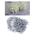 thumbnail image 3 of 6 X 1800 Piezas De Estambres De Flores Artificiales De Doble Cabeza Para Manualidades Florales DIY - 3 Mm Gris, 3 of 8