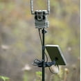 thumbnail image 4 of TACTACAM Reveal Adjustable Camera Stake with Solar Panel Mount - Fits All Trail Cameras and Cellular Cameras with 1/4" 20 mounts, 4 of 8