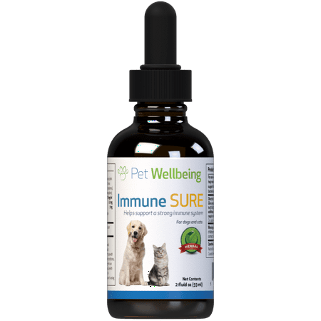 UPC: 0661822600276 | Pet Wellbeing Cat Immune System Support & Booster – Immune SURE 2oz