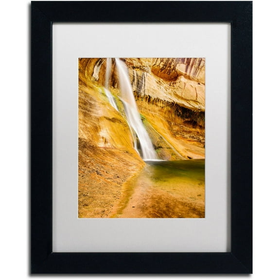 Trademark Fine Art "Desert Oasis" Canvas Art by Michael Blanchette Photography White Matte, Black Frame