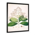 thumbnail image 2 of Designart 'Ancient London Plants III' Farmhouse Framed Art Print, 2 of 4