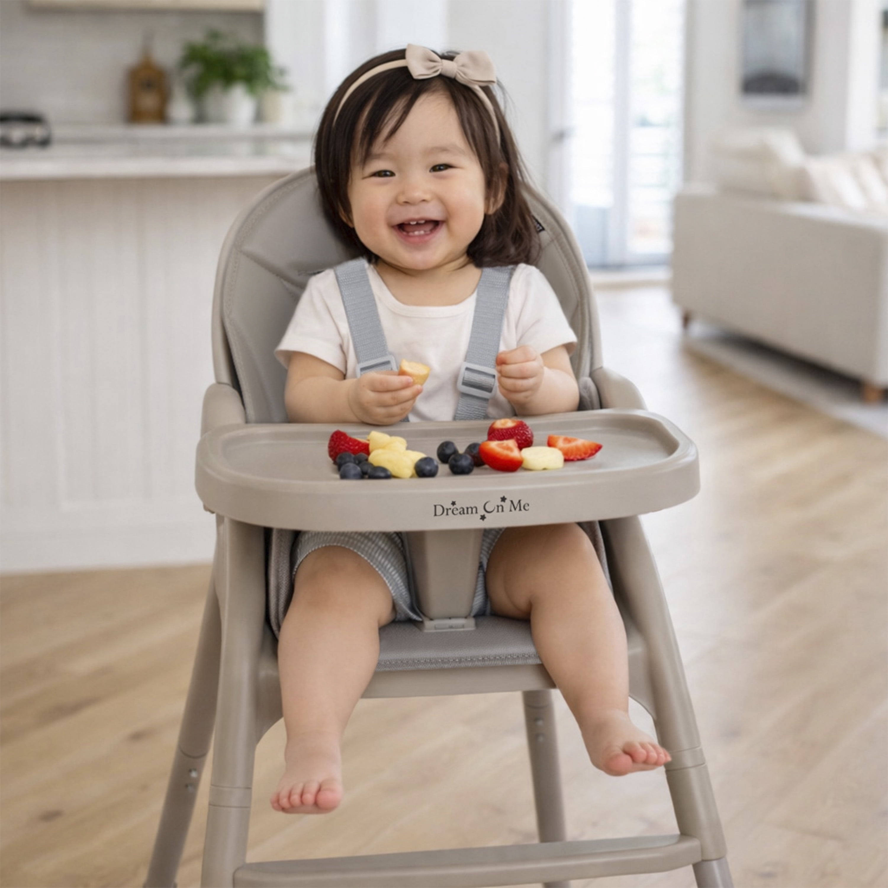 Dream On Me Chomper Champ 2-in-1 Highchair, Cloud Gray
