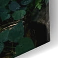 thumbnail image 3 of Epic Art 'Tropical 3' by Photoinc Studio, Acrylic Glass Wall Art, 16"x24", 3 of 8