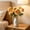 Yellow, variant on Twfbrm Peonies Artificial Flowers, Various colors Simulated Silk Peonies Flowers with Long Stems, Faux Decorative Peonies Floral Arrangements for Home, Wedding, Decor