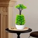 thumbnail image 1 of Decoración del hogar, decoración de habitaciones, decoración de paredes, plantas verdes artificiales, simulación de macetas, decoración del vestíbulo del hotel, oficina en casa, plantas verdes, decora, 1 of 6