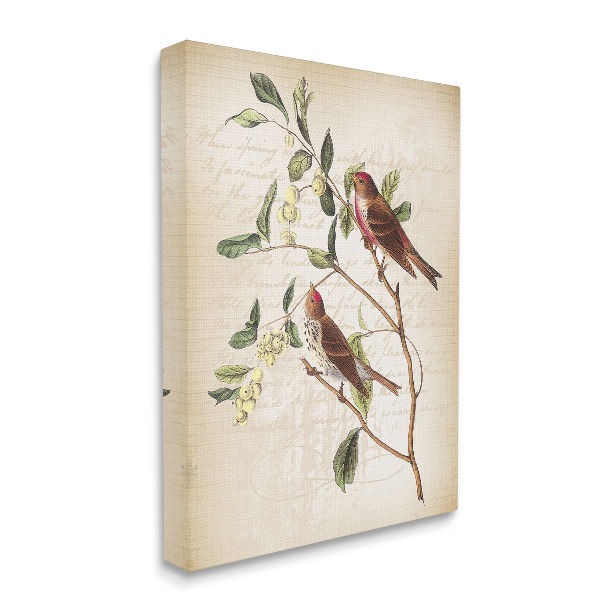 Stupell Industries Birds with Vintage Cursive Animals & Insects Painting Gallery Wrapped Canvas Art Print Wall Art, 16 x 20