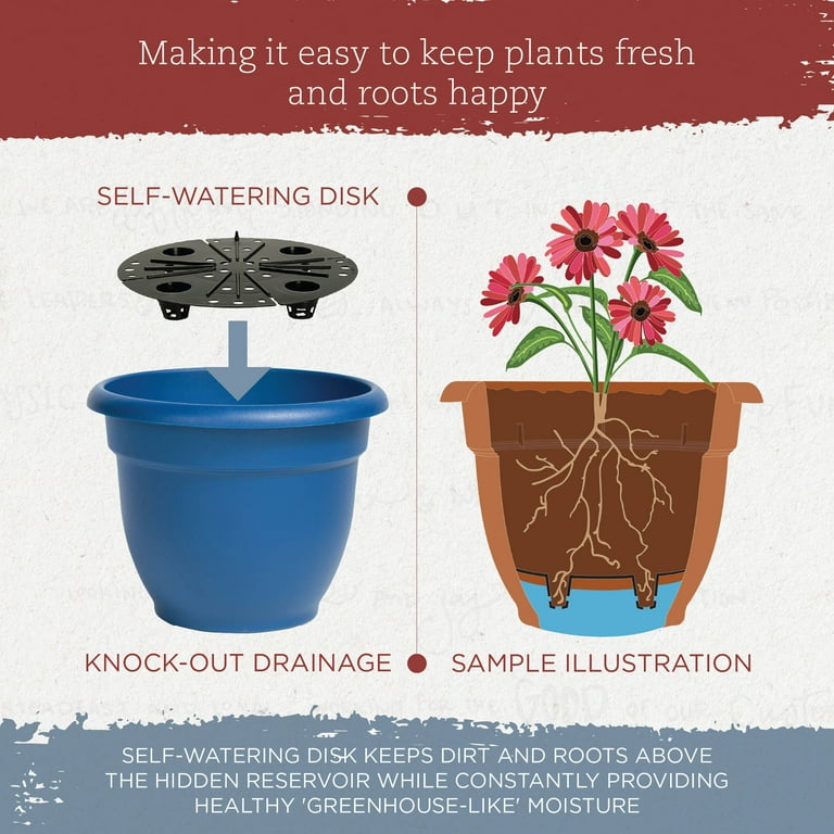 Bloem Ariana 13.7 in. H x 17.6 in. W Plastic Flower Pot Charcoal Bloem Ariana 13.7 in. H x 17.6 in. W Plastic Flower Pot Charcoal