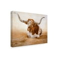 thumbnail image 2 of Kathy Winkler 'Easy Rider Cows' Canvas Art, 2 of 4