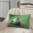 thumbnail image 5 of Susaid Red-Eyed Tree Frog-1 Print Pillowcases Multiple Size, Pillow Cover Super Soft Envelope Closure Standard Pillow Case-20"x30", 5 of 6