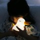 thumbnail image 2 of Luz nocturna infantil Led ACTIVE Recargable USB para Niños, 2 of 3