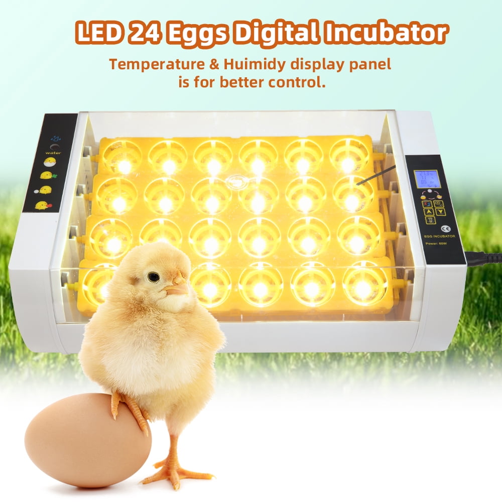 Private Jungle 24 Eggs Hatcher Turner with LCD Screen Display Turning Temperature Control for Farm Hatching Chicken Duck Birds Quail Goose with LED Egg Candler Function Private Jungle 24 Eggs Hatcher Turner with LCD Screen Display Turning Temperature Control for Farm Hatching Chicken Duck Birds Quail Goose with LED Egg Candler Function