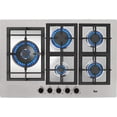 thumbnail image 1 of PARRILLA (40211520) MARCA TEKA Teka EFX 70.1 5G AI, 1 of 4