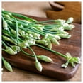 thumbnail image 4 of Everwilde Farms - 1000 Garlic Chives Herb Seeds - Gold Vault Jumbo Bulk Seed Packet, 4 of 5