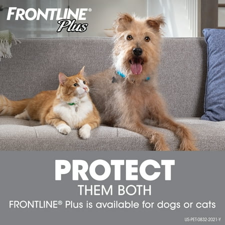 Frontline Plus Flea and Tick Lice Treatment for Medium Dogs, 6 Month Supply