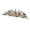 Gold, variant on Nieyigj International Chess Set with Gold Storage Iron Box Wearproof Pieces for Family Party and Travel
