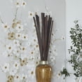 thumbnail image 2 of 39" Dried Plant Natural Foliage Sticks Bouquet with Slender Stems, by DecMode, 2 of 7