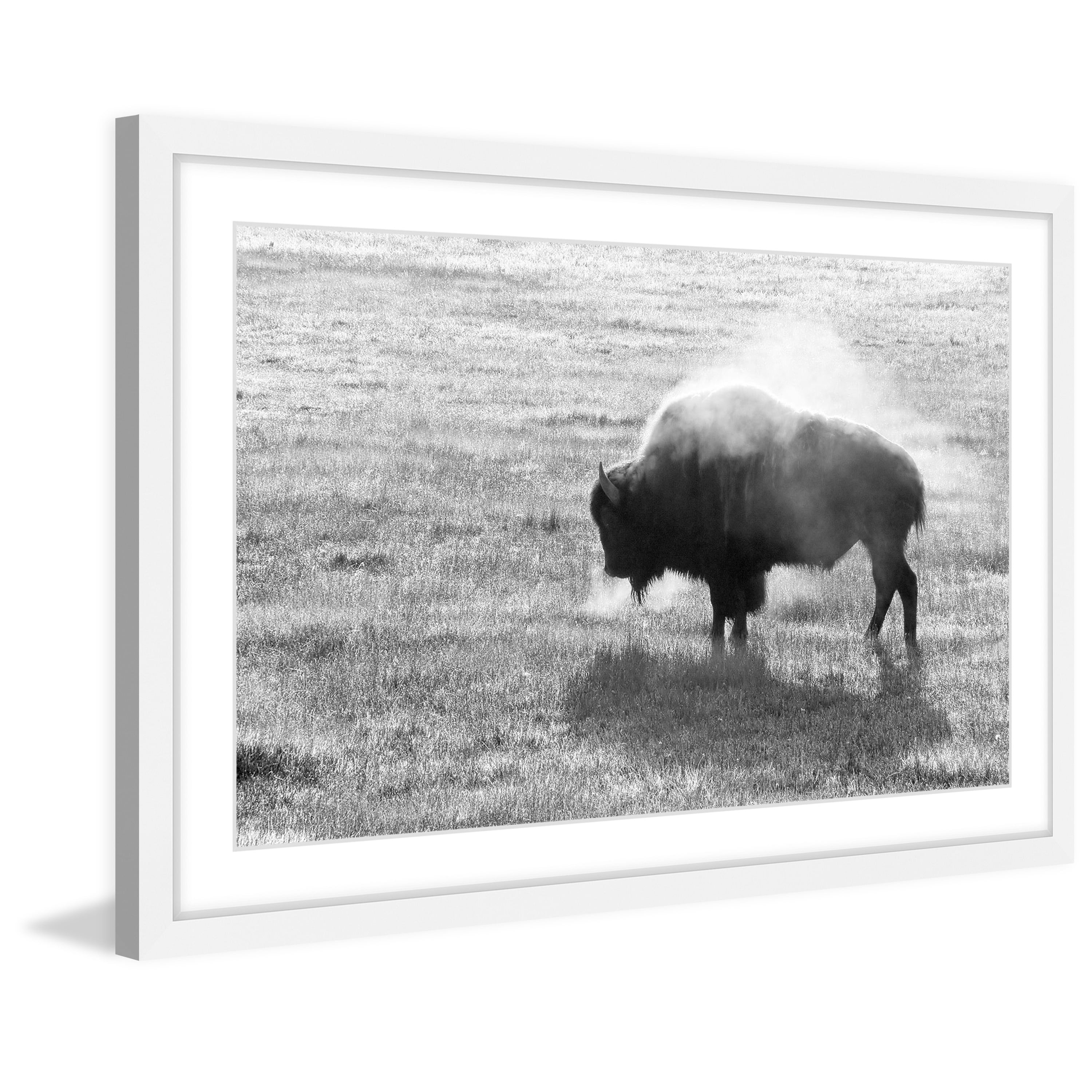 Marmont Hill "Lone Buffalo" Framed Painting Print