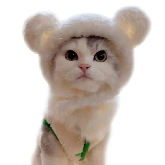 Cute cat simple warm headgear pet hat bear plush headgear
