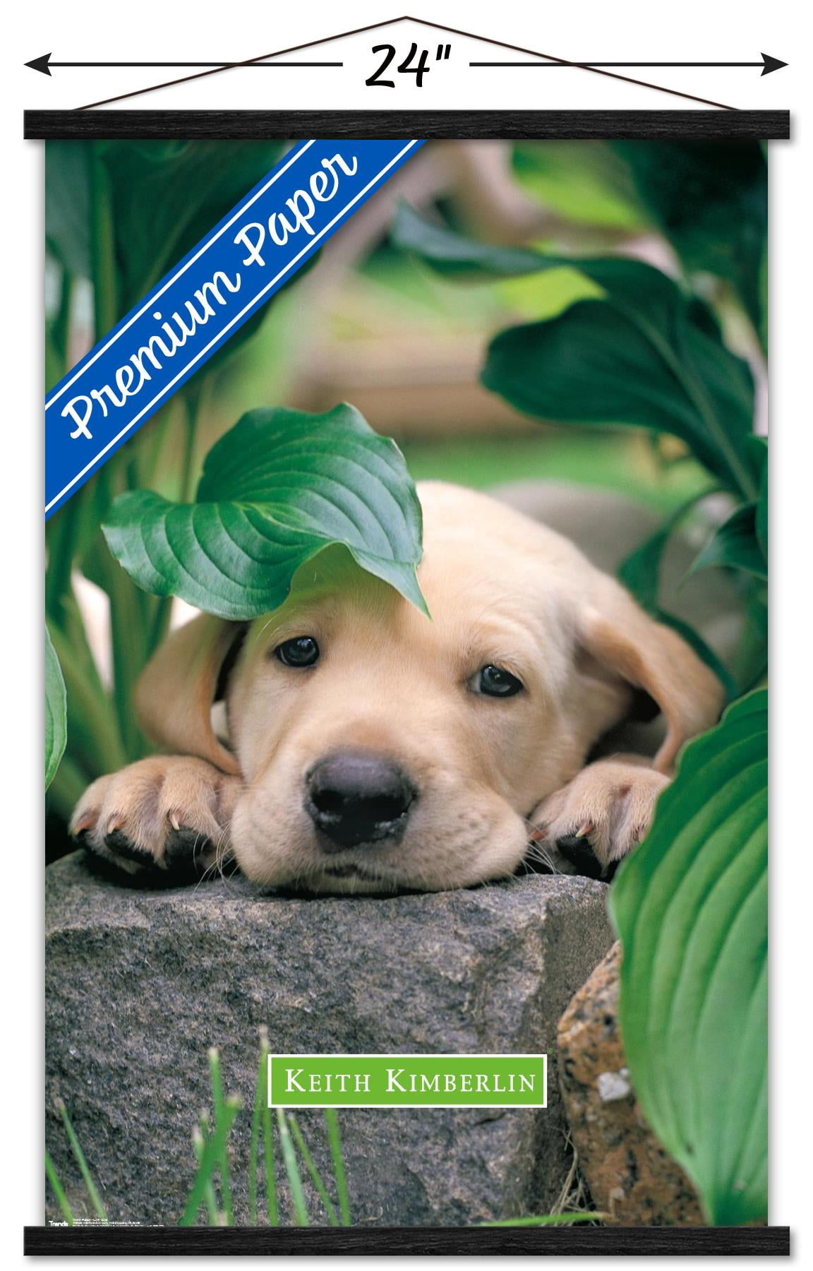 Keith Kimberlin - Puppy - Lazy Days Wall Poster with Wooden Magnetic Frame, 22.375" x 34"