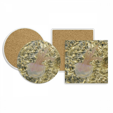 

Ocean Jellyfish Science Nature Picture Coaster Cup Mug Holder Absorbent Stone Cork Base Set