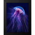 thumbnail image 2 of Hunziker, Steve 15x18 Black Modern Framed Museum Art Print Titled - Peri Gelatinous II, 2 of 5