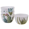 thumbnail image 1 of Certified International 22155Set4 Cactus Verde Vajilla Vajilla Platos Talla Única Multicolor, 1 of 2