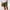 Army Green, variant on Mens Shorts Clearance under $10,Mens Casual Solid Pocket Elastic Waist Straight Half Shorts Sport Pants