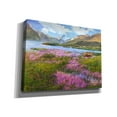thumbnail image 2 of Epic Graffiti 'Heather Scotland' by Chris Vest, Canvas Wall Art, 16"x12", 2 of 3