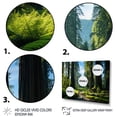 thumbnail image 3 of Designart "Redwood Giants Forest Tree II" Tree Redwood Floater Framed Canvas Art Print, 3 of 7