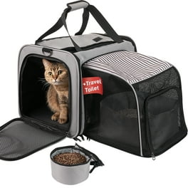 Cat pet carrier walmart sales