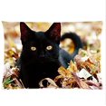 thumbnail image 1 of QIFEIHA Cat Pillowcase Cushion Cover Two Sides Printing Size 20x30 inch, 1 of 2