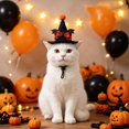 thumbnail image 4 of Cat Wizard Hat Pet Halloween - Adjustable Sorcerer Hat for Cats Small Dogs Cosplay(Black-1,13.5cm), 4 of 5