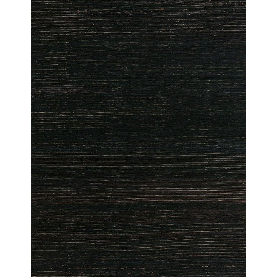 Ahgly Company Indoor Rectangle Abstract Black Abstract Area Rugs, 2' x 4'