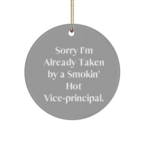Motivational Vice-Principal , Sorry I'm Already Taken by a Smokin' Hot Vice., Useful Holiday Circle Ornament for Colleagues