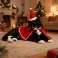 thumbnail image 5 of Cat Christmas Costume, Pet Santa Hat with Xmas Clothes for Cats Small Dogs Rabbits, Cat Santa Hat and Red Warm Cloak Coat, New Year Puppy Red Clothes Outfit, Adjustable, 5 of 9