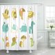 thumbnail image 1 of ABPHQTO África dibujos animados diferentes animales lindo murciélago abeja personaje dibujo pez bosque baño cortinas de ducha 152x180 cm ABPHQTO PKNMT60x72Shower-3849, 1 of 2