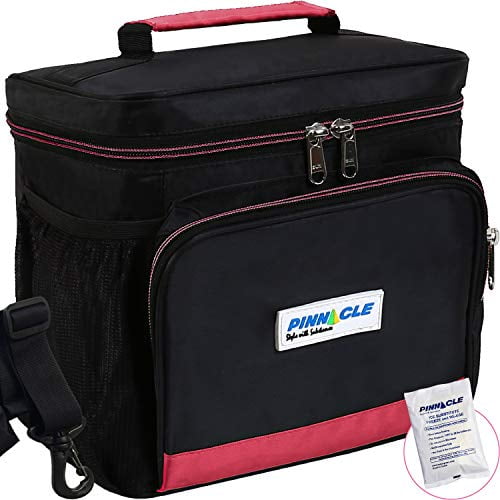 work bag lunch box