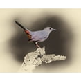 thumbnail image 2 of Brown, Jim 32x26 Black Ornate Wood Framed with Double Matting Museum Art Print Titled - Cat Bird, 2 of 4