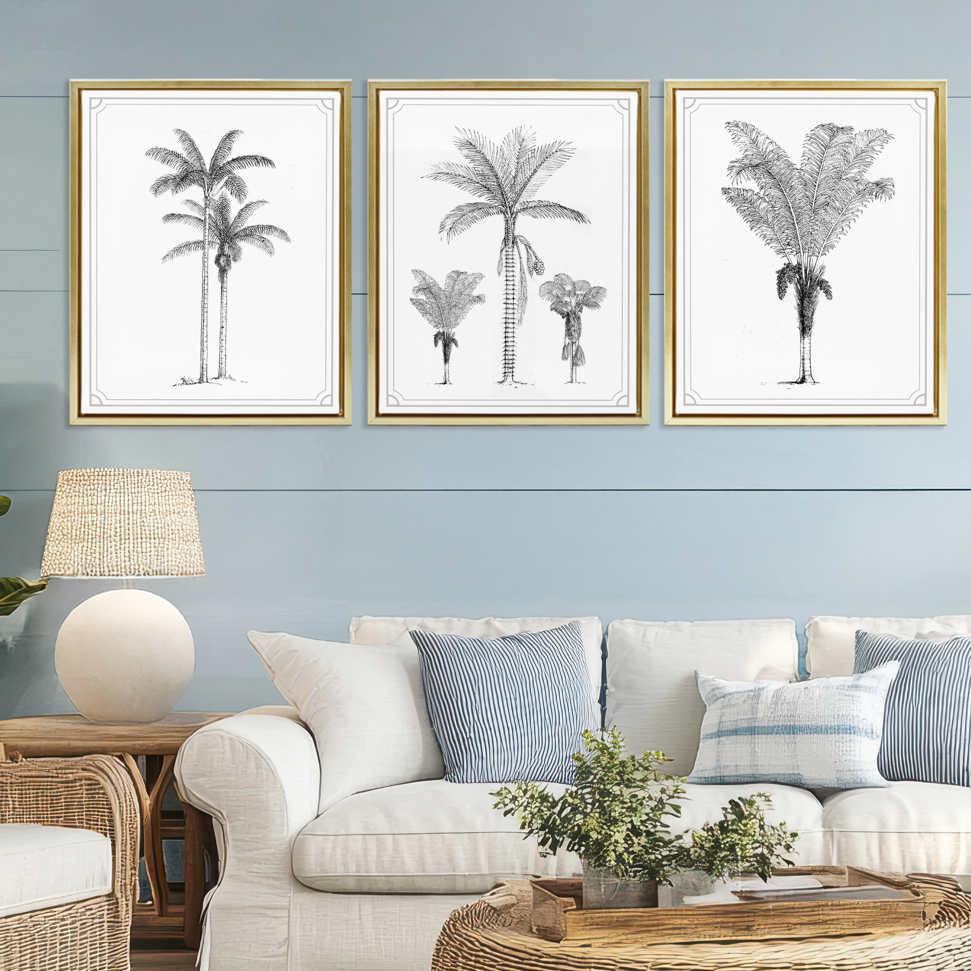 Minimal Vintage Palm Tree Sketches 3 Piece Gold Framed Floater Canvas Set, design by Lettered and Lined