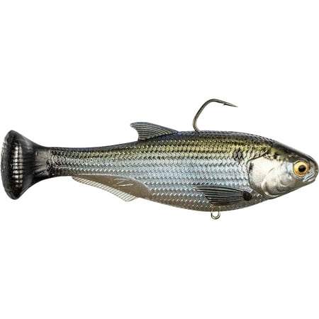 Z-Man Shadtron LT Fast Sink 6 Swimbait Mossback